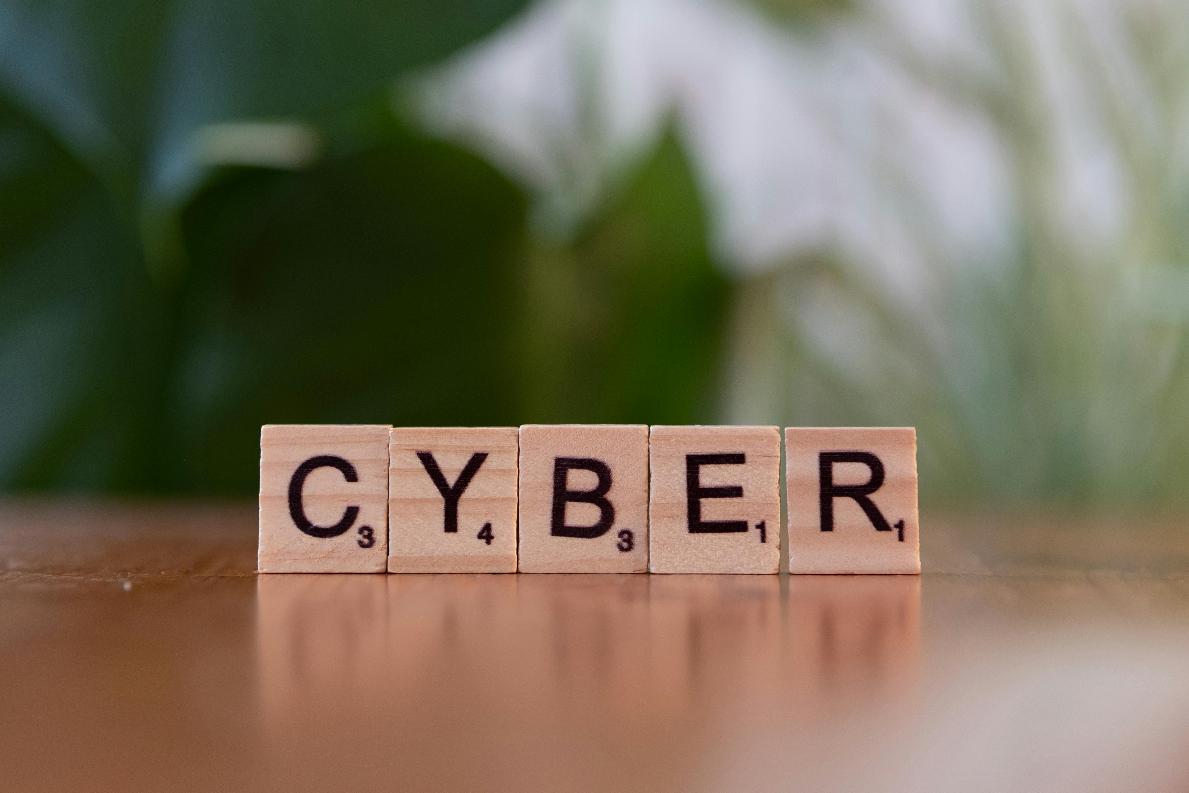 Introduction to Cyber Security